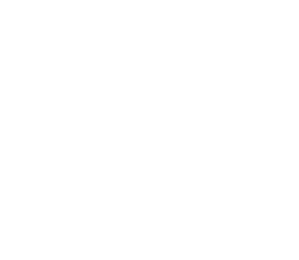 PE Alexandre Vassiliev Foundation – Vassilievfoundation.com